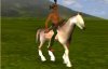tupi knight.jpg