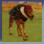 flesh_houndoldold.jpg