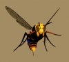 Hornet.jpg
