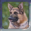 POLICEDOG.jpg