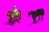 HorseCompare.jpg