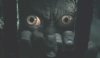Gollum_behind_bars_03.jpg