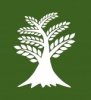 7719117-abstract-tree-symbol-of-nature.jpg