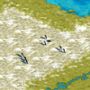 penguin resource preview.png