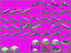 nemoshipsforts.gif