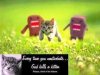 kitten.jpg