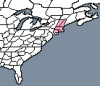 Matriarchy of New England.png