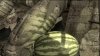 Camo suit.jpg
