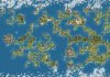 FracturedWorld.jpg