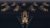 United_Forces.png