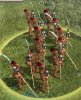 civ5_iropi1.jpg civ5_iropi1.jpg