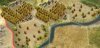 Barley.jpg