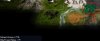 forest.jpg