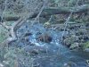 Dsc00564.jpg