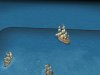 Civ4ScreenShot0110.JPG