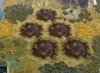 ClayQuarry3.jpg