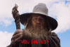 GandalfYouCalled.png