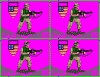 us marines_iraq.gif