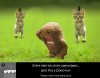 think-of-the-domokun.jpg