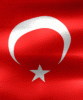 turkey-lg.gif