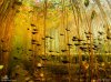 1012wallpaper-week-3-1_1600.jpg