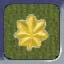 Army O4 MAJ copy.jpg