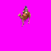 5.gif