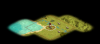 Start Byz1.PNG