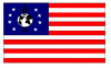 Imperial US Flaf.png