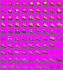 fairline ships.png