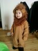 lion.jpg