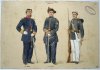 Fatherland Volunteers small.jpg