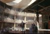 Globe Theatre.jpg