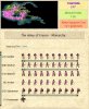 PPT-huge-1-770AD-mil-adviser.JPG