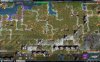 forestcrazy.jpg