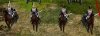cuirassier.jpg