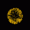 Fireworks-june.gif