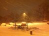 Don't you love Minnesota.jpg