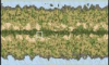 CIV4_pb_carte.png