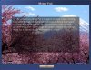 Civ4ScreenShot0001.JPG