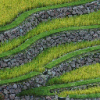 Terrace_Large.png