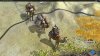 CloseUp Camels.jpg