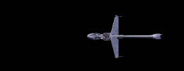 bwing4.gif