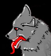 greyfox.jpg