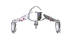 31.gif