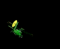 copter.gif