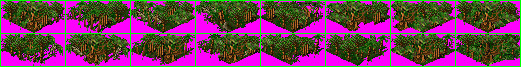 jungles3.gif