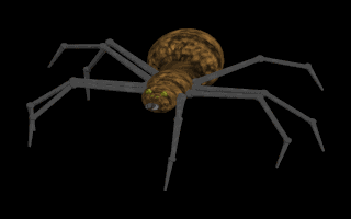 spider1.gif