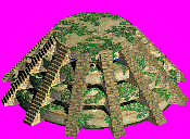 won-oracle-p.gif