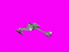d7.gif